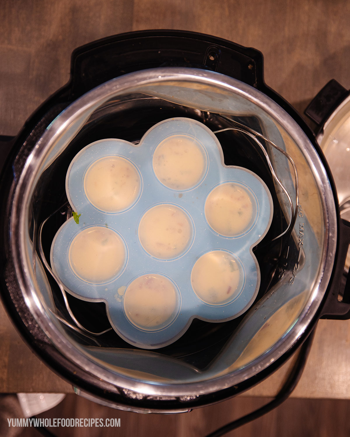Old Home Kitchen Egg Bites Tray with Lid | Silicone Egg Bites Tray | Egg Bites Molds Silicone | Instant Pot Accessories | Egg Bite Maker for Pressure Cooker